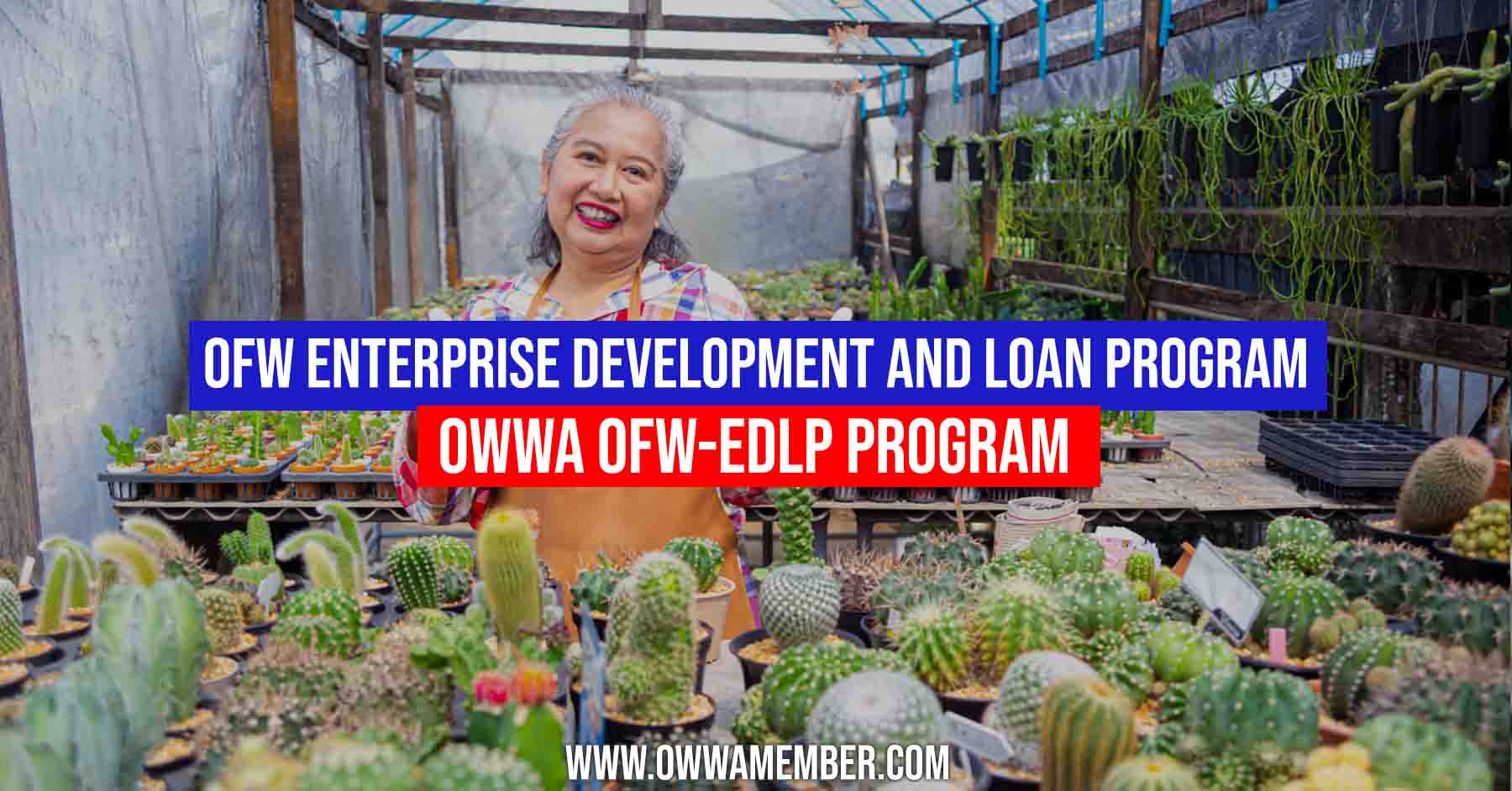 OFW EDLP program Enterprise loan program
