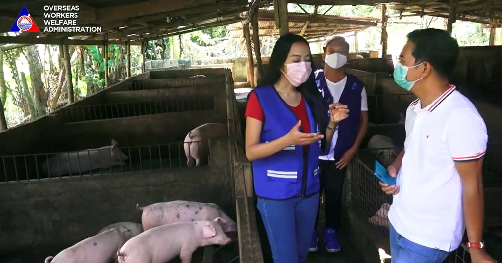 piggery business using owwa edlp livelihood program