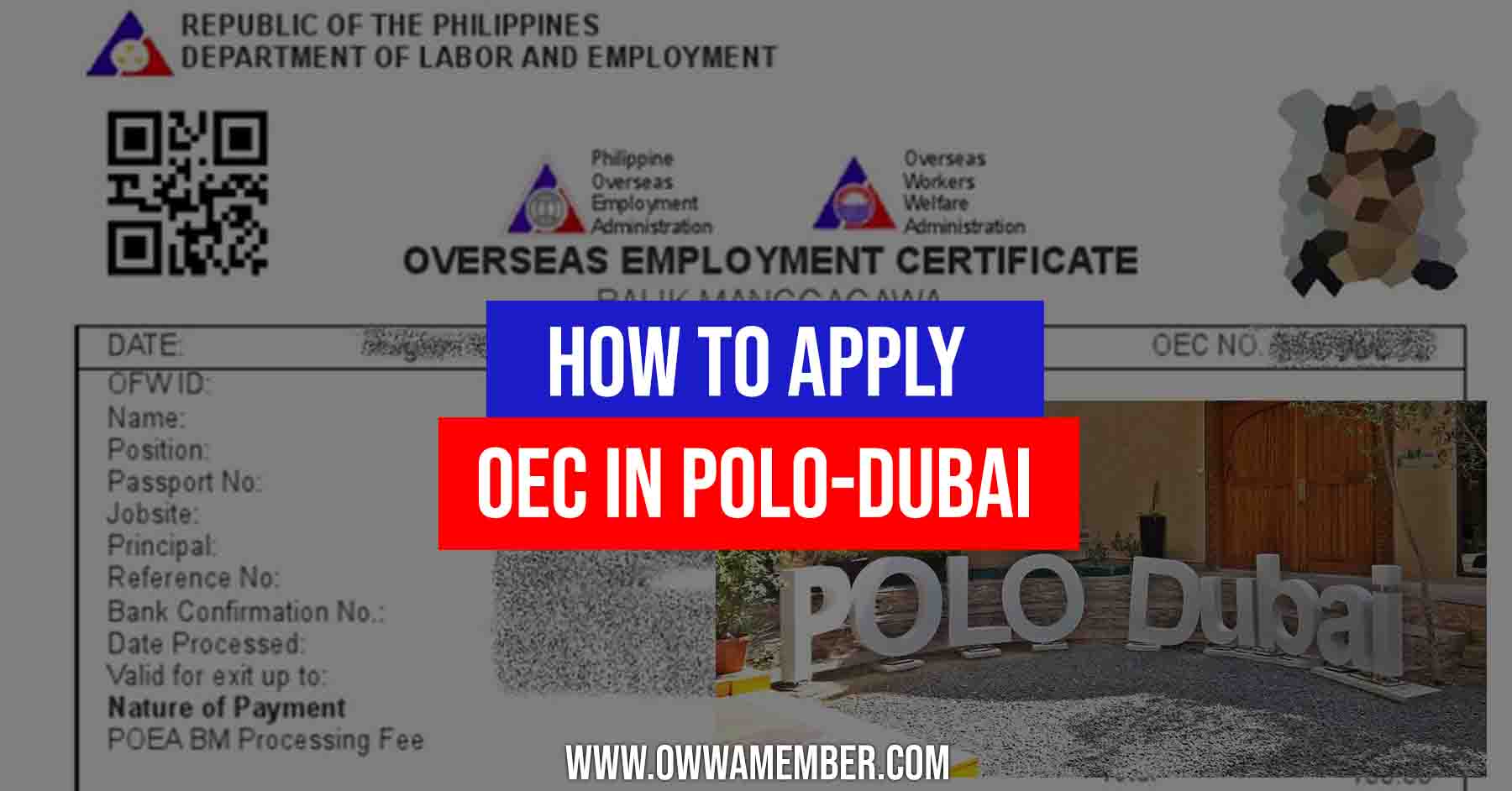 how to apply oec polo-dubai