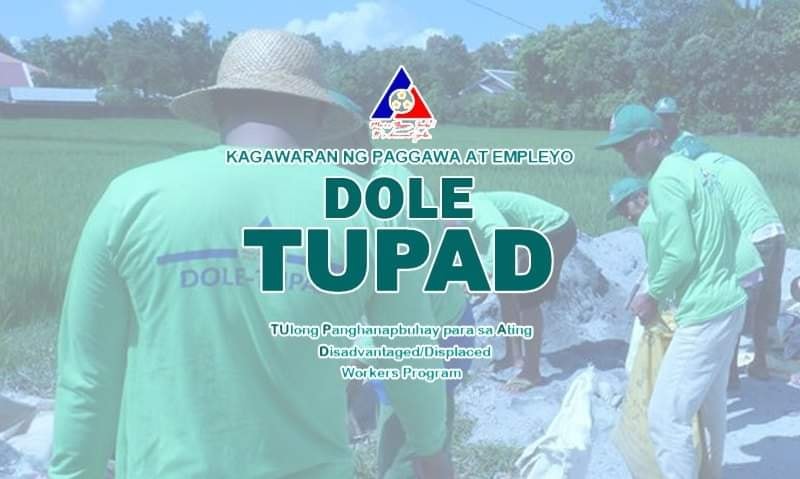 dole tupad project how to apply