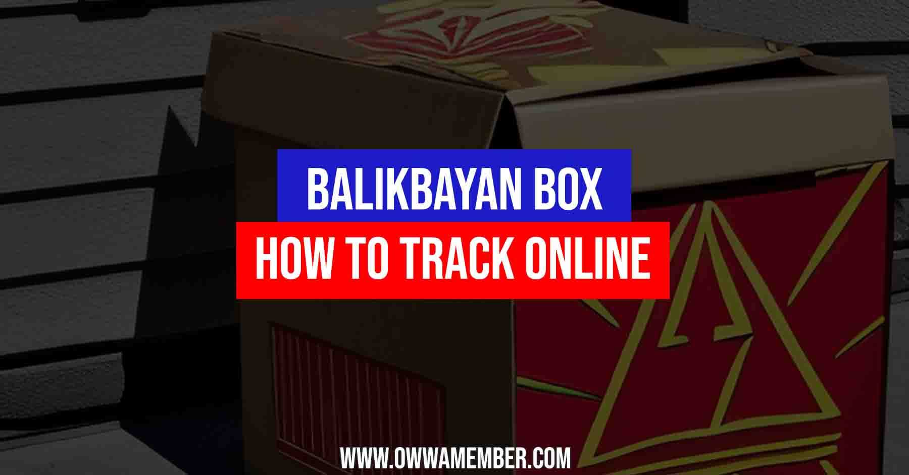 how to track balikbayan box delivery status online