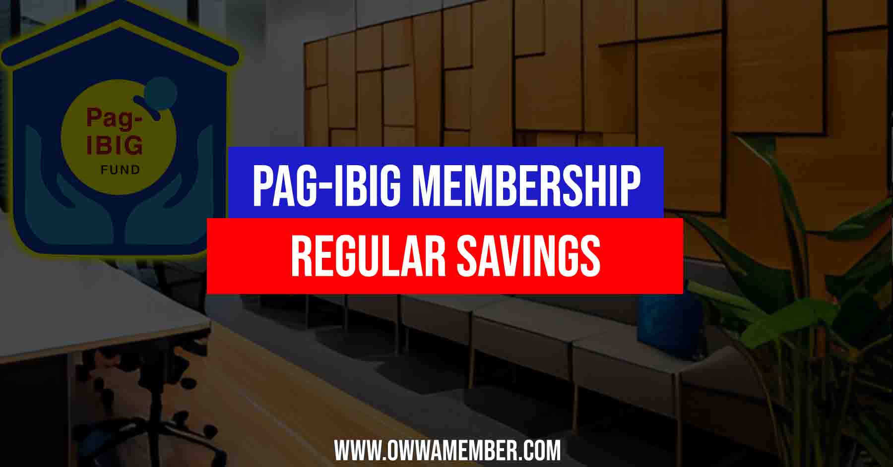 pag-ibig regular savings account